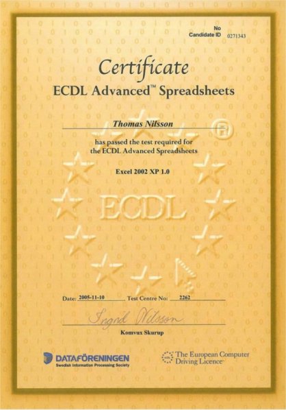 ECDL - Advanced Excel