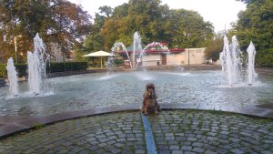 Raoul Wallenbergs park - Fontänen Göta